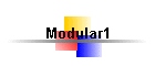 Modular1